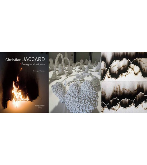 Christian Jaccard - Energies dissipées