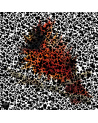 Henrik Vibskov - Neck Plus Ultra - limited edition