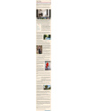 Bernar Venet - Financial Times (01.07.14)