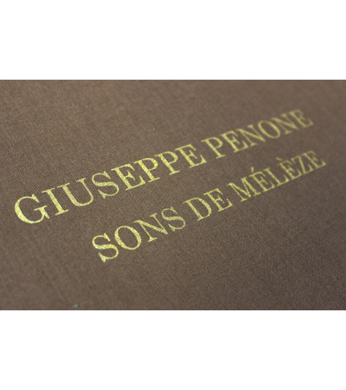 Giuseppe Penone - Sons de Mélèze