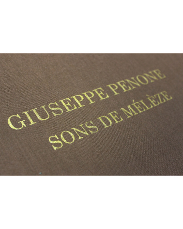 Giuseppe Penone - Sons de Mélèze