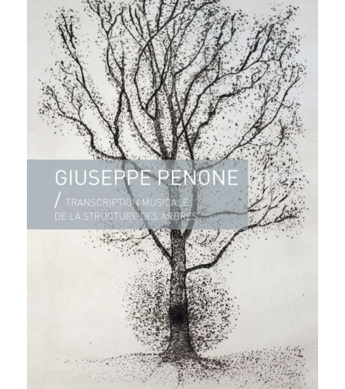 Giuseppe Penone - Transcription musicale de la structure des arbres  (gravures)