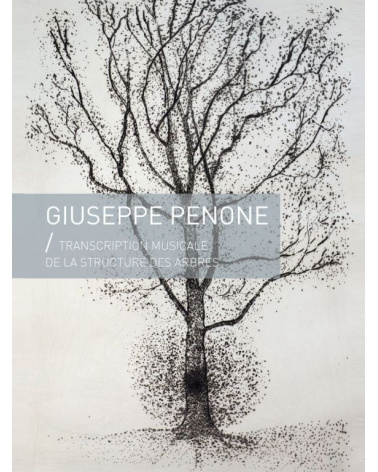 Giuseppe Penone - Transcription musicale de la structure des arbres  (gravures)