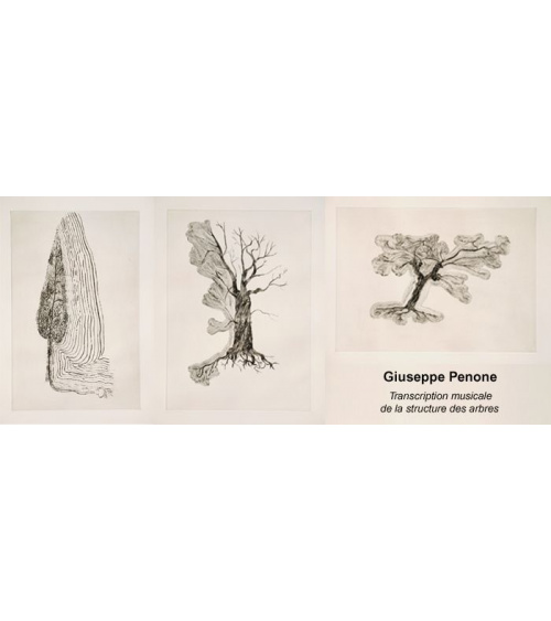 Giuseppe Penone - Transcription musicale de la structure des arbres  (gravures)