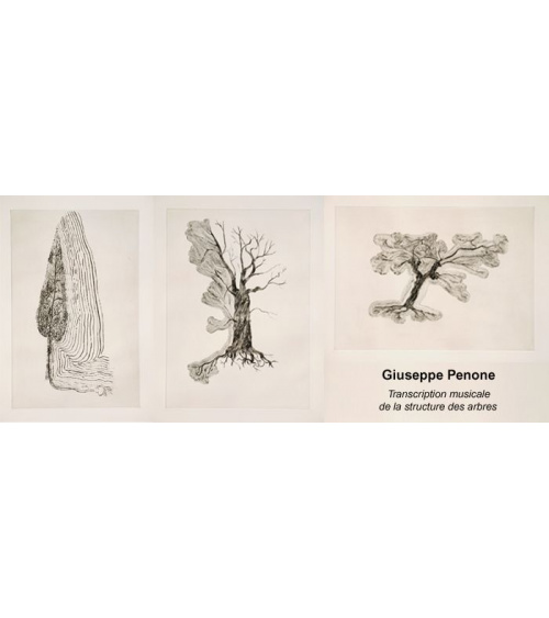 Giuseppe Penone - Transcription musicale de la structure des arbres 