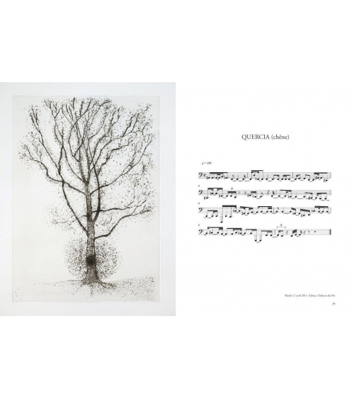 Giuseppe Penone - Transcription musicale de la structure des arbres  (gravures)