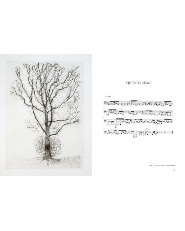 Giuseppe Penone - Transcription musicale de la structure des arbres  (gravures)