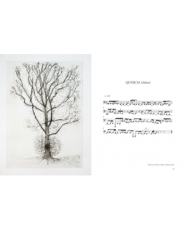 Giuseppe Penone - Transcription musicale de la structure des arbres 