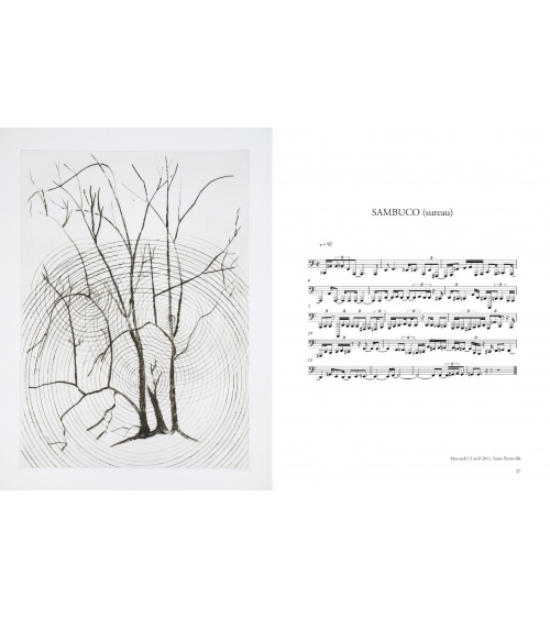 Giuseppe Penone - Transcription musicale de la structure des arbres  (gravures)