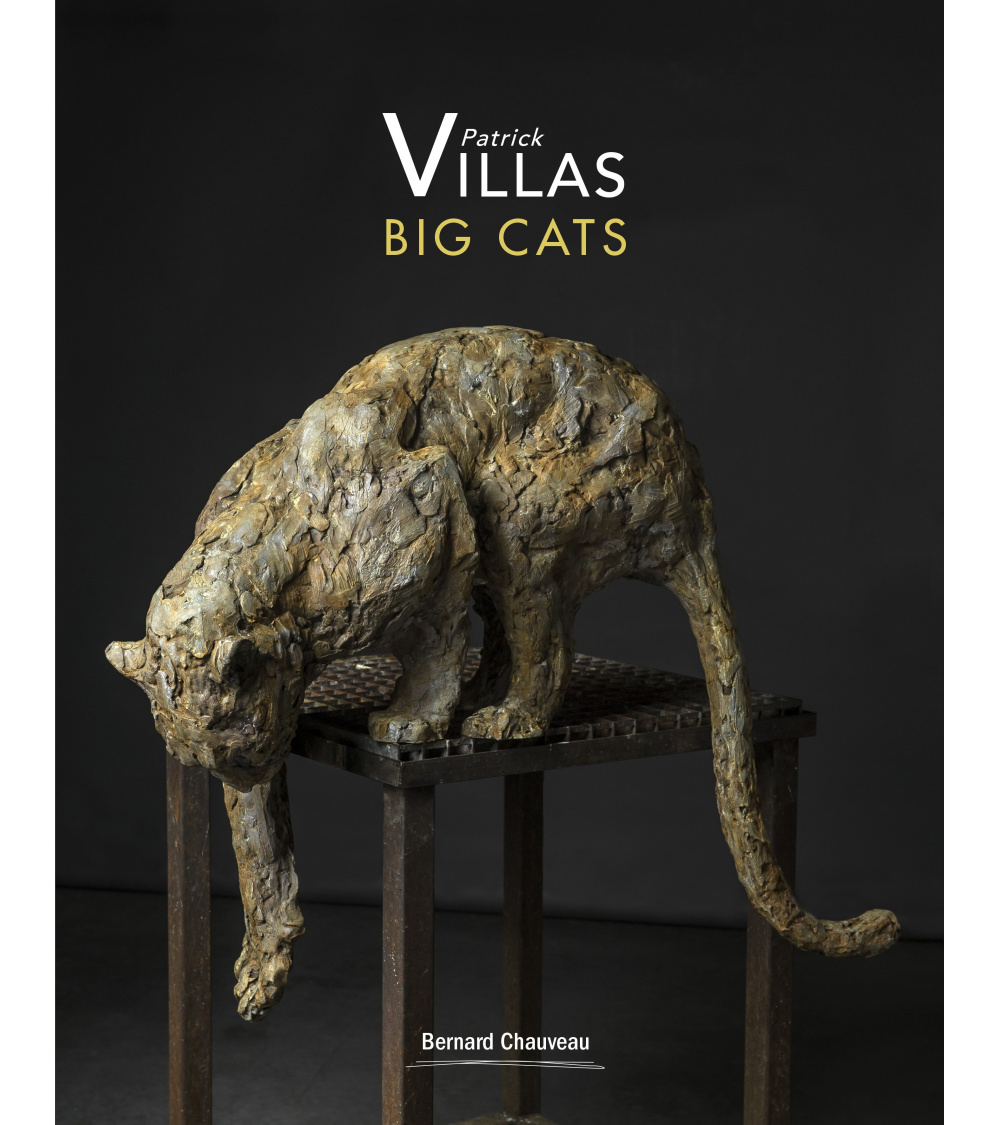 Patrick Villas - Big cat