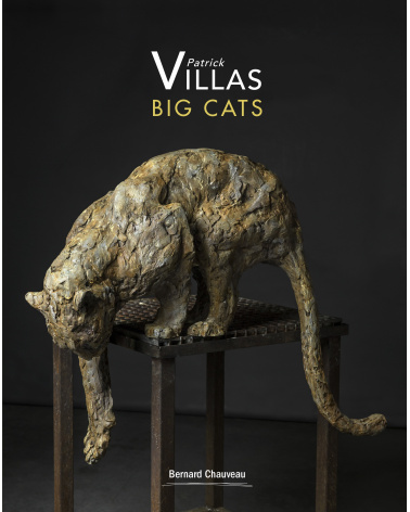 Patrick Villas - Big cat