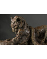 Patrick Villas. Big cats