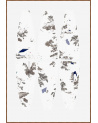 Les Mémoires Gravitationnelles