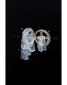 Philippe Favier - Le Mariage de Francis
