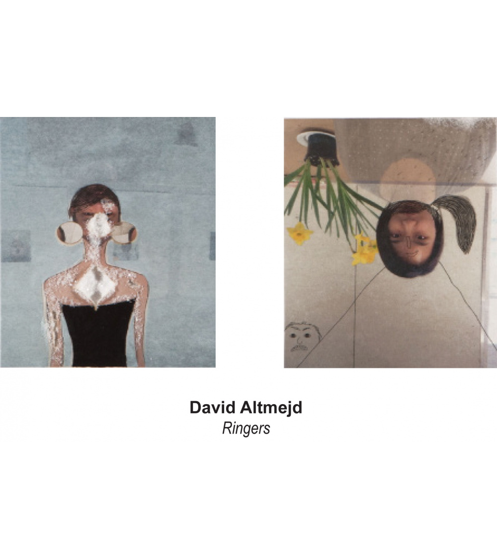 David Altmejd / Ringers - du 23/11 au 12/01/19