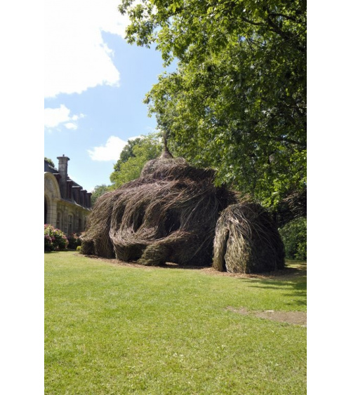 Patrick Dougherty - Regard d'artiste