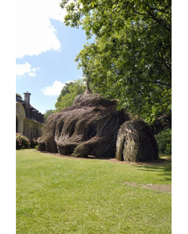 Patrick Dougherty - Regard d'artiste