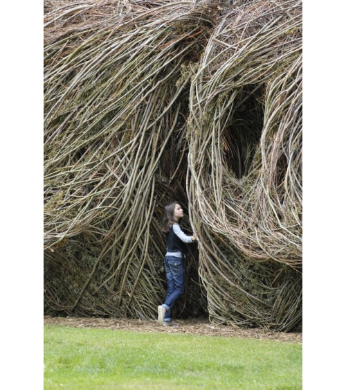 Patrick Dougherty - Regard d'artiste