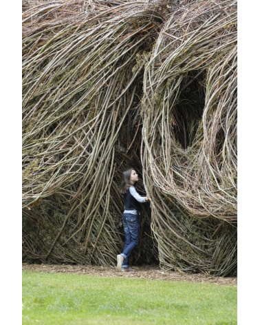 Patrick Dougherty - Regard d'artiste