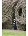 Patrick Dougherty - Regard d'artiste