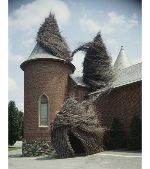 Patrick Dougherty - Regard d'artiste