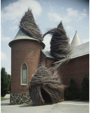 Patrick Dougherty - Regard d'artiste