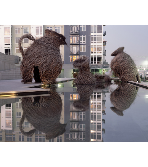 Patrick Dougherty - Regard d'artiste