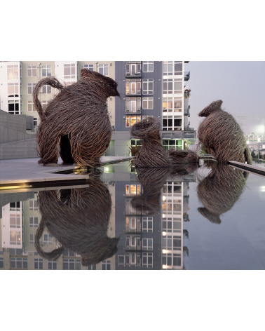 Patrick Dougherty - Regard d'artiste