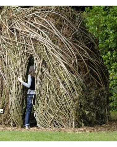 Patrick Dougherty - Regard d'artiste