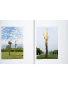 Arbres - Giuseppe Penone