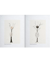 Arbres - Giuseppe Penone