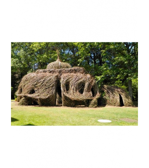 Patrick Dougherty - Regard d'artiste