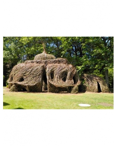 Patrick Dougherty - Regard d'artiste