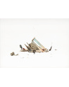 Claire Trotignon, Windy Ruin