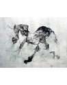 Organismes et Fantasma / Lionel Sabatté