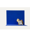 Bernard Calet / Moving Inside
