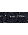 Bernar Venet / L'Hypothèse du point