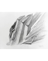 Claude Parent / Un hommage