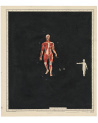 Art Paris Art Fair