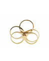 François Azambourg / La bague universelle – version doré