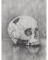 Drawing Now Art Fair 2024