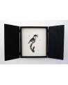 Art Paris 2024