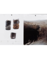Emma Lutz, Imprimer la terre