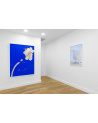 Claire Trotignon / Paysages acrobatiques