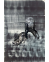 Art Antwerp 2025