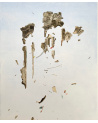 Art Antwerp 2025