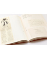 Iliazd, poète – architecte du livre
