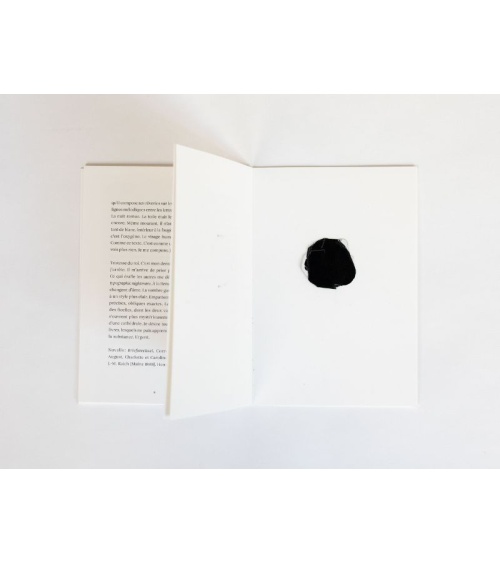 Je broie du noir – Olivier Cadiot