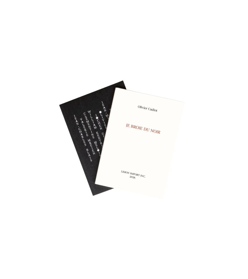 Je broie du noir – Olivier Cadiot