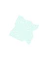 PARÉIDOLIE 2026